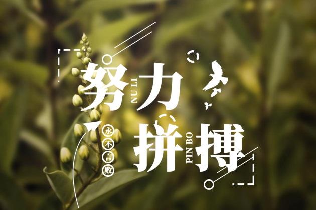  給我一份信任，還你10分滿意(圖3)